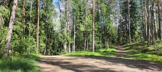 Similar image 22283640