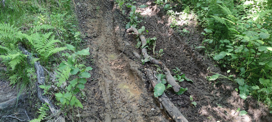 Similar image 22283642