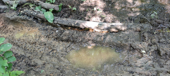 Similar image 22283643