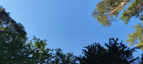 Similar image 22283652