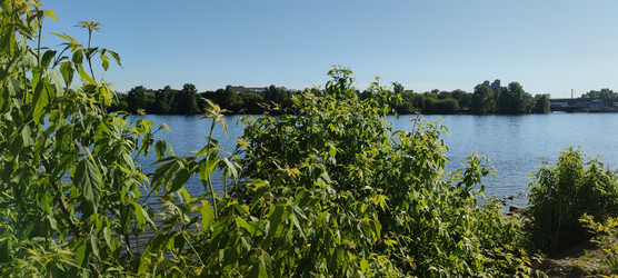 Similar image 22283653