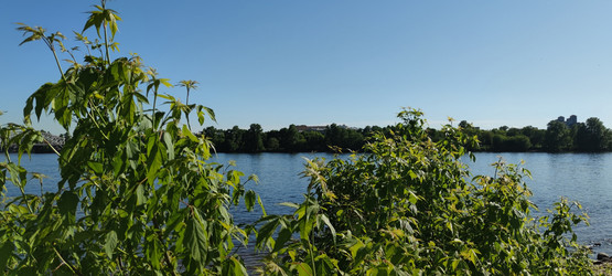 Similar image 22283654