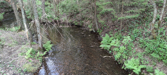 Similar image 22283658