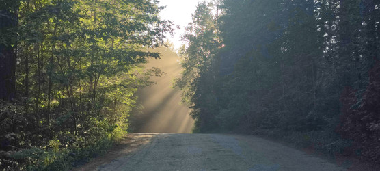 Similar image 22283660