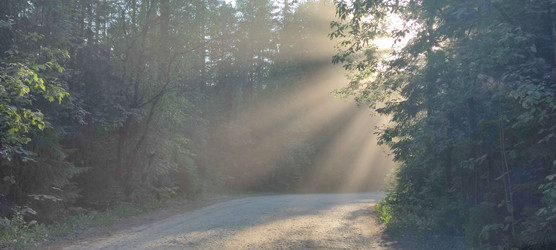 Similar image 22283661