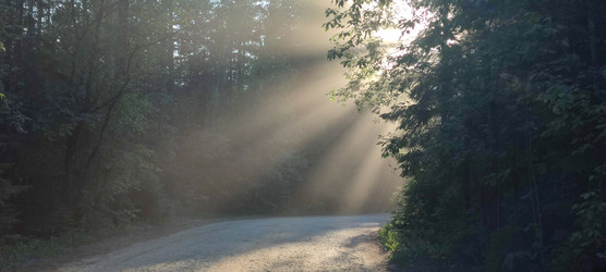 Similar image 22283662