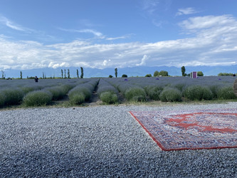 Similar image 22284383