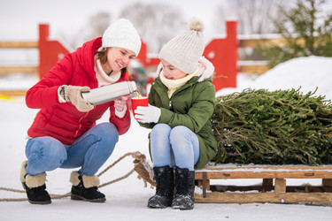 Similar image 22284387