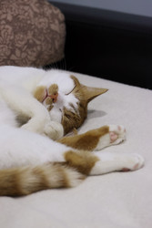 Similar image 22284598