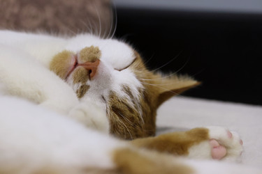 Similar image 22284599