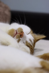 Similar image 22284600