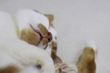 Similar image 22284602