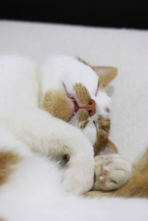 Similar image 22284603