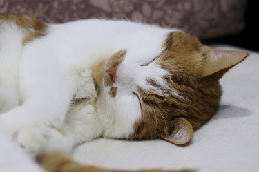 Similar image 22284604