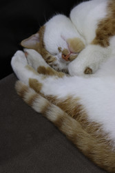 Similar image 22284605