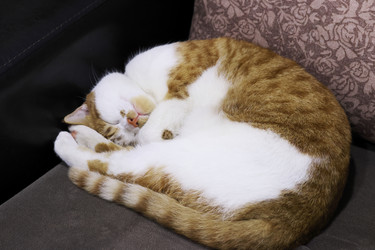 Similar image 22284606