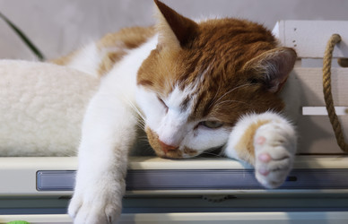 Similar image 22284607