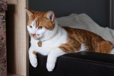 Similar image 22284609