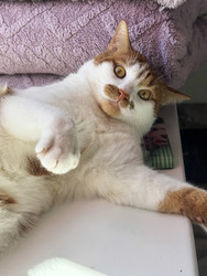 Similar image 22284610