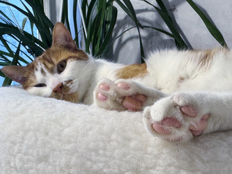 Similar image 22284612