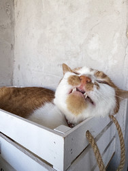 Similar image 22284614