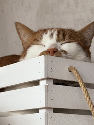 Similar image 22284615