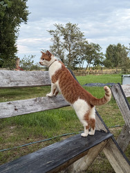 Similar image 22284617