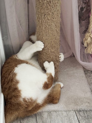 Similar image 22284618