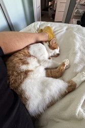 Similar image 22284619