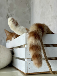 Similar image 22284620