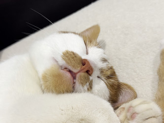 Similar image 22284622