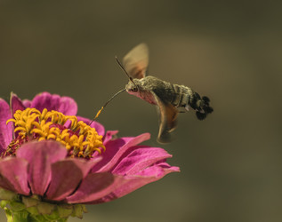 Similar image 22284400