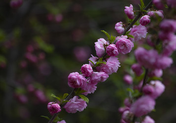 Similar image 22284472