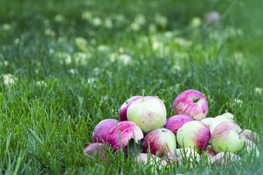 Similar image 22284404