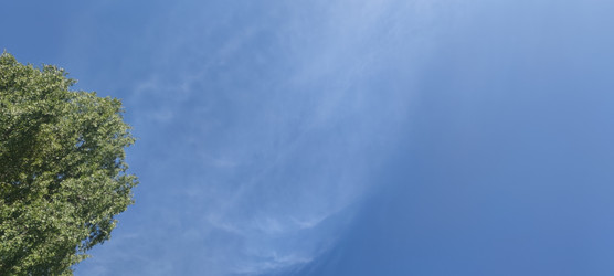 Similar image 22283674