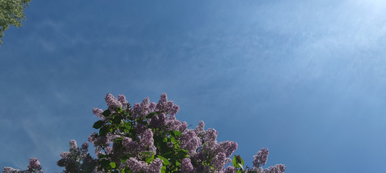 Similar image 22283675