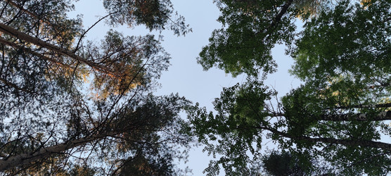 Similar image 22283682