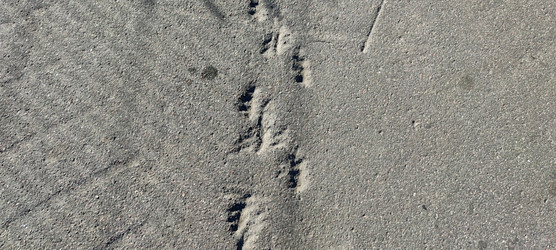 Similar image 22283693