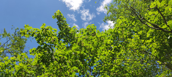 Similar image 22283695