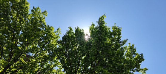 Similar image 22283697