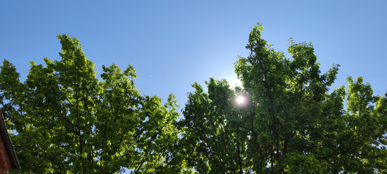 Similar image 22283698