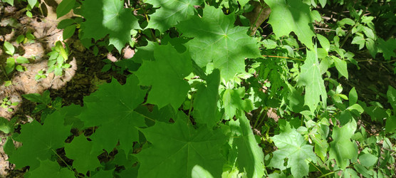 Similar image 22283700