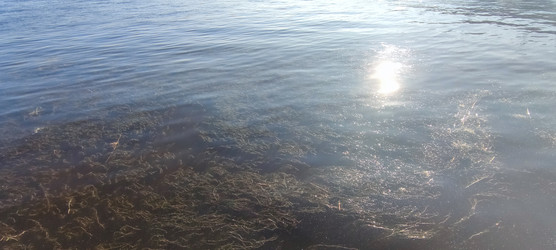 Similar image 22283703