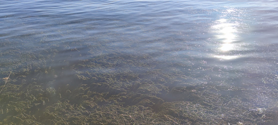 Similar image 22283704