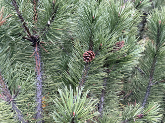 Similar image 22289132