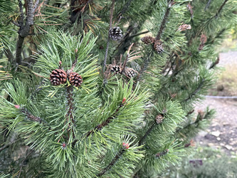 Similar image 22289133