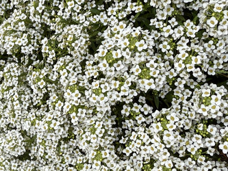 Similar image 22289134