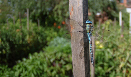 Similar image 22285129