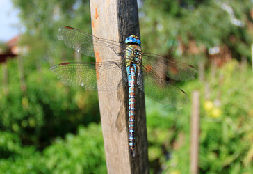 Similar image 22285130