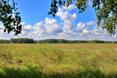 Similar image 22285131